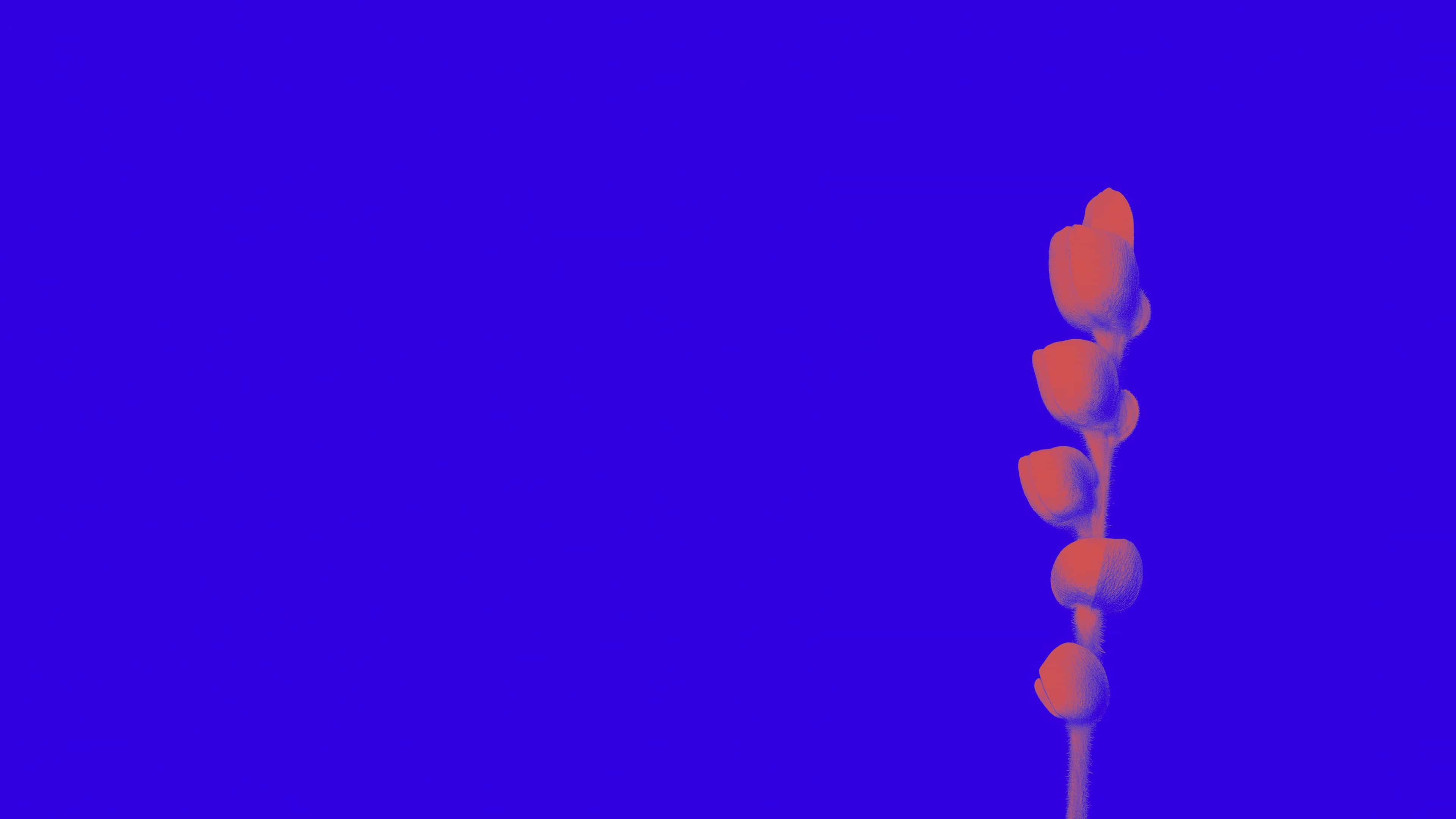 Facciamo crescere la città di domani - Scopri gli enti di formazione del Gruppo Foppa - 2