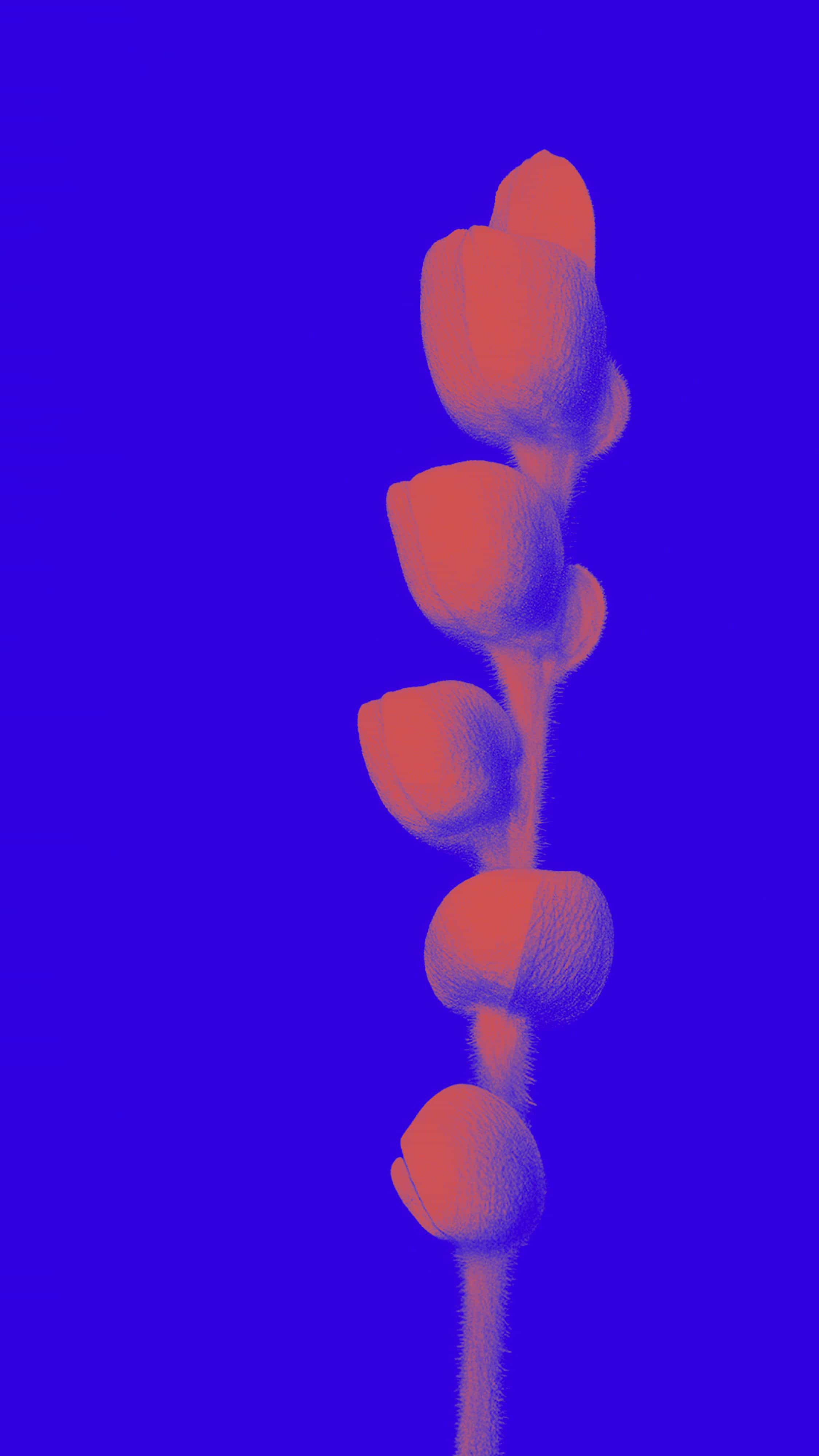 Facciamo crescere la città di domani - Scopri gli enti di formazione del Gruppo Foppa - 2