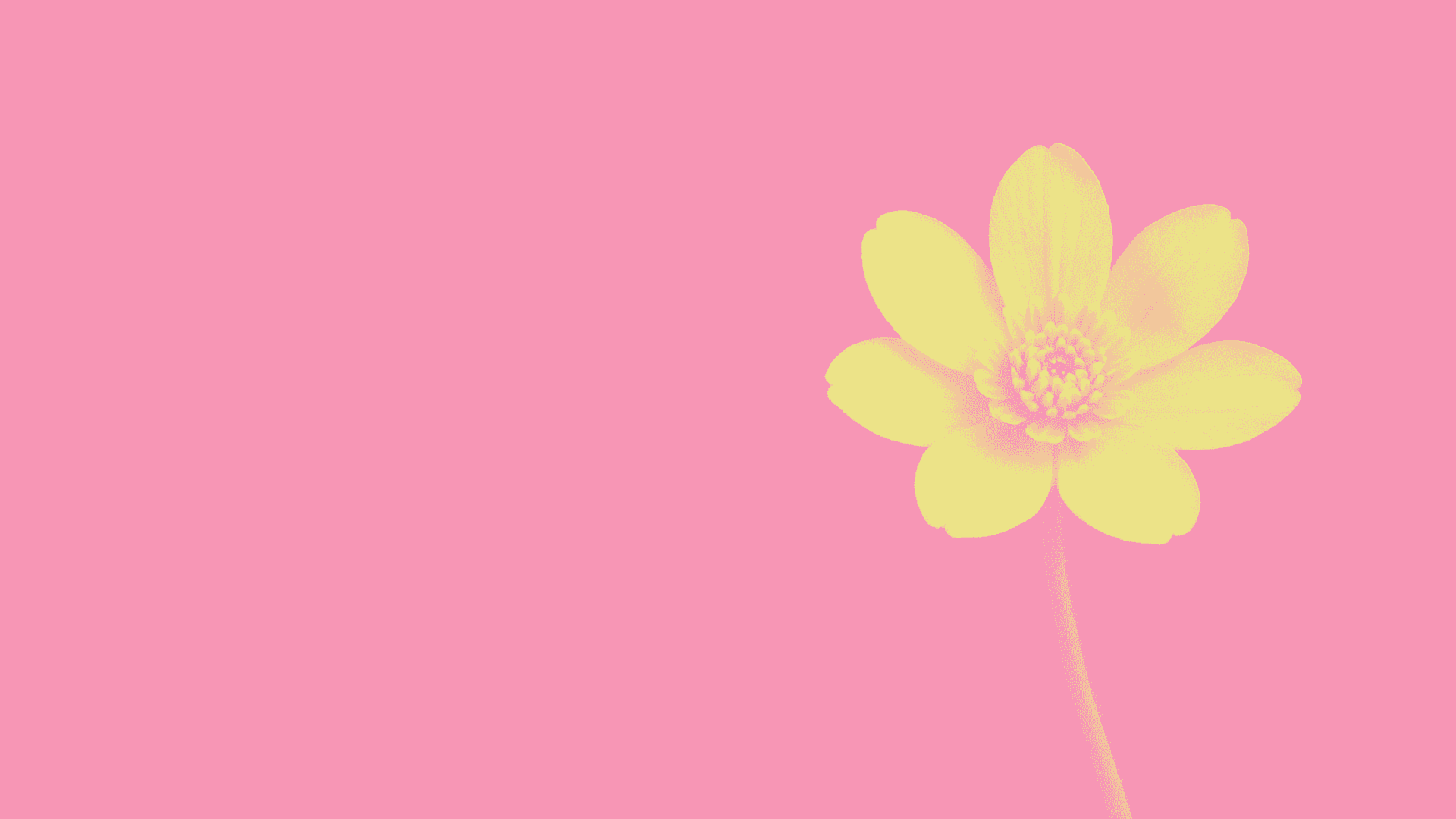 sfondo-manifesto-foppa