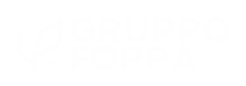 Logo Foppa Group