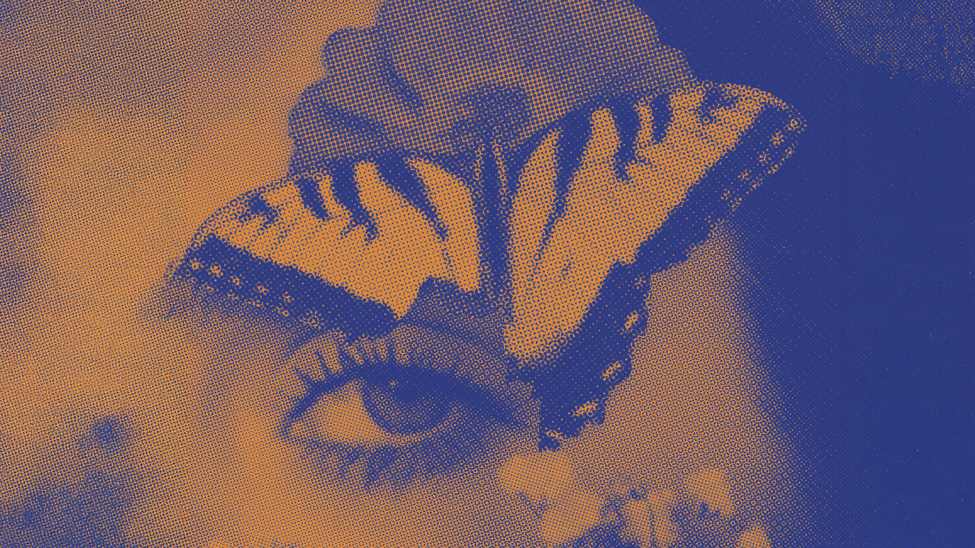 visual_serata_moda_2026